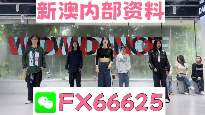 管家婆一肖资料大全，深度解析与探索，管家婆一肖资料深度解析与探索大全