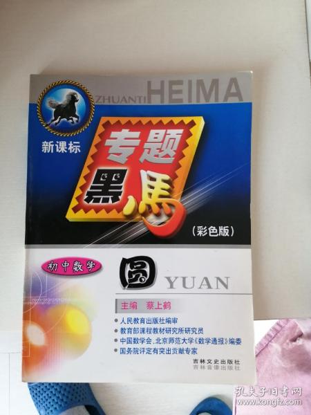 王中王黑马堂一肖中特，探索神秘现象与SEO优化策略，王中王黑马堂，神秘现象探索与SEO优化策略揭秘
