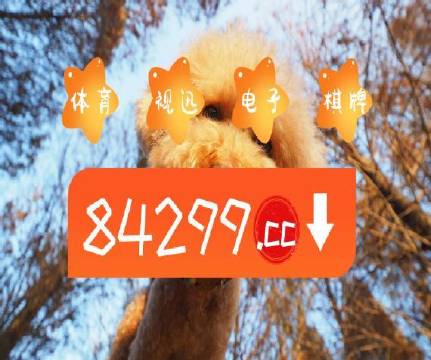 澳门天天免费精准大全——探索澳门的无尽魅力，澳门无尽魅力探索大全，天天免费精准指南