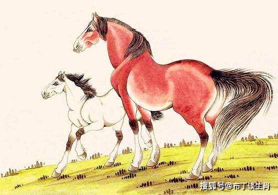 买马打一生肖王中王，探寻背后的故事与奥秘，买马打一生肖王中王背后的故事与奥秘探寻