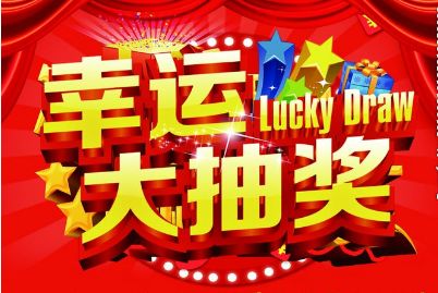 王中王一肖必中，揭秘背后的秘密与策略，揭秘王中王一肖的成功秘诀与策略