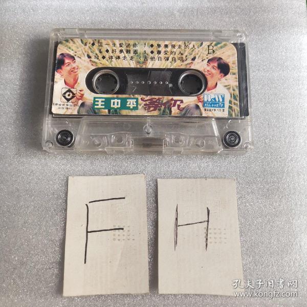 王中王中平特一肖，探索关键词背后的故事，王中王中平特一肖，关键词背后的故事探索
