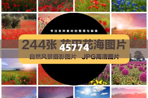 新澳门2025年正版免费公开，探索未来的机遇与挑战，澳门未来展望，机遇与挑战并存（2025正版免费公开）