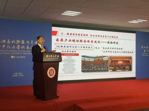 2025年香港资料大全正版——深度探索香港的未来发展，香港未来展望，深度探索香港发展蓝图至2025年