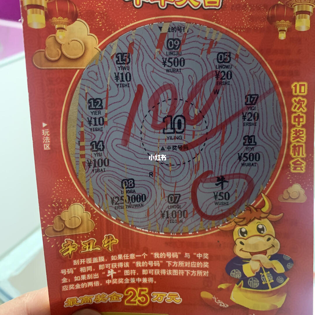 王中王100一肖中特，揭秘背后的秘密与独特之处，揭秘王中王100一肖中特的独特秘密与优势