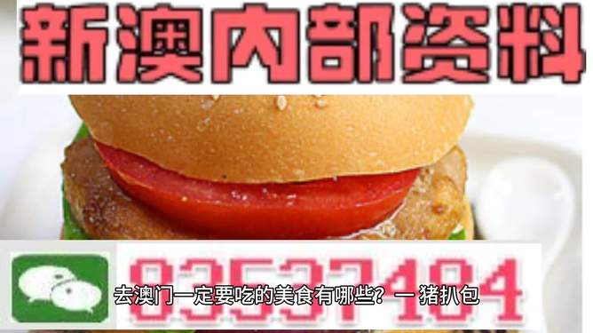 新门内部资料精准大全，揭秘SEO优化秘籍，新门内部资料揭秘，SEO优化秘籍大全