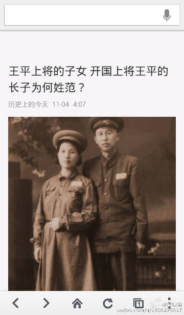 王中王平特一肖妃子，历史与文化的交融之美，王中王平特一肖妃子，历史与文化的交融之美探秘
