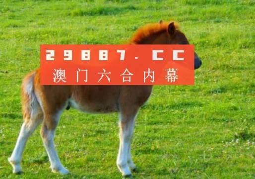新奥门一肖一马必中——揭秘彩票背后的秘密与策略，揭秘彩票背后的秘密与策略，新奥门一肖一马必中技巧探究