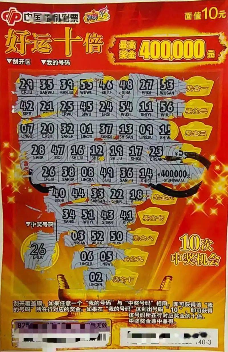 王中王开奖必中一肖，策略与技巧揭秘，王中王开奖必中一肖，策略与技巧大揭秘！