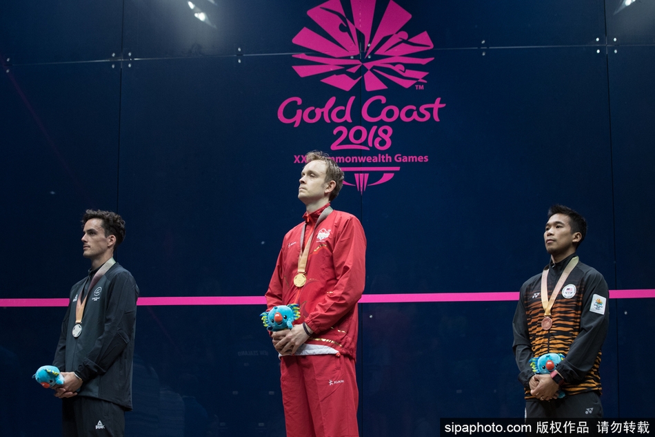 关于马会五肖的奥秘与探索，深度解析与SEO洞察，马会五肖深度解析，奥秘探索与SEO洞察揭秘