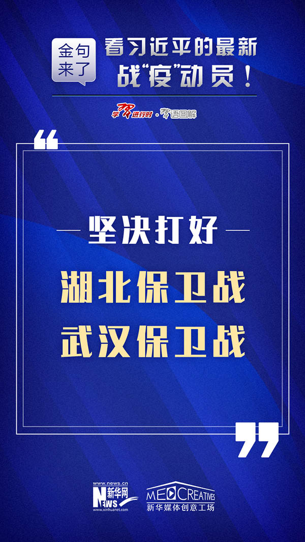 新澳24年088期资料详解与探索，新澳24年088期资料深度解析与探索