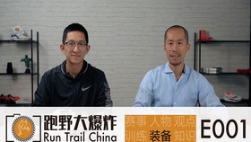 王中王018期指一生肖——探寻背后的奥秘与意义，王中王018期指一生肖，背后的奥秘与寓意探寻