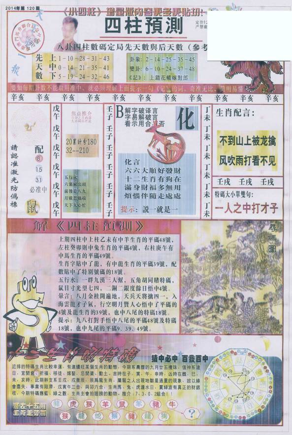 揭秘生肖彩票，买一注猜生肖的乐趣与挑战，揭秘生肖彩票，猜生肖的乐趣与竞技挑战