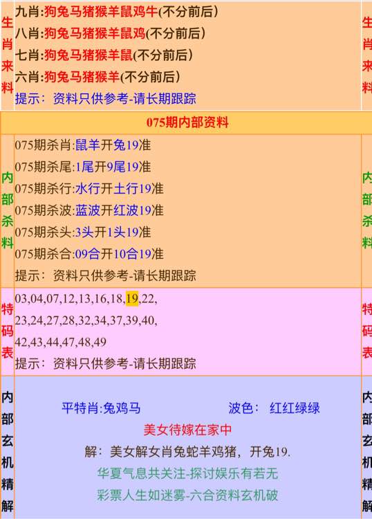 一肖公式，揭秘SEO优化秘密武器，一肖公式揭秘，SEO优化秘密武器全解析