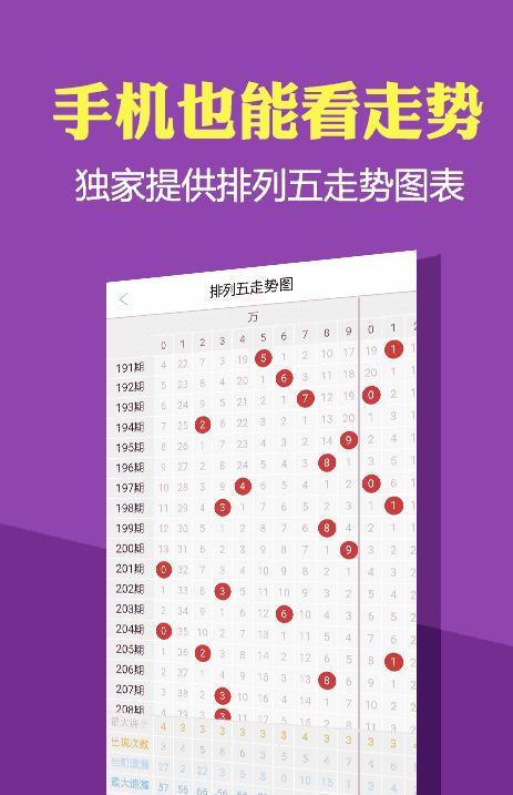 新澳门码走势图，探索与预测，新澳门码走势图，探索未来，预测走向