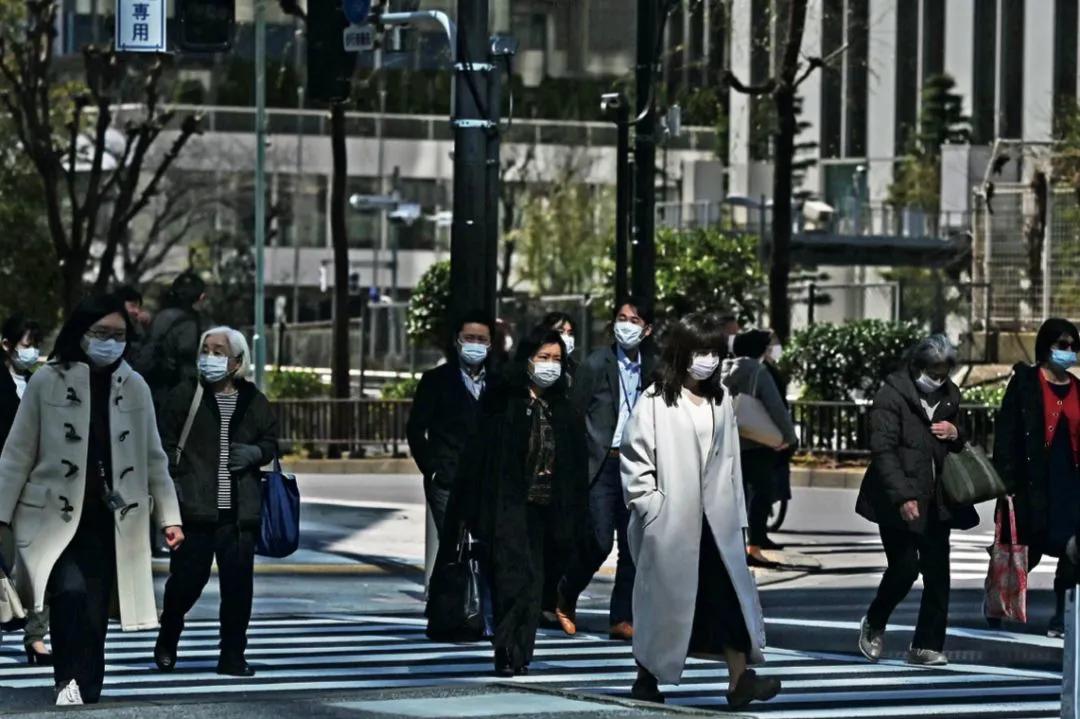 王中王四肖期期准一期，深度解析与探索，王中王四肖期期深度解析与探索