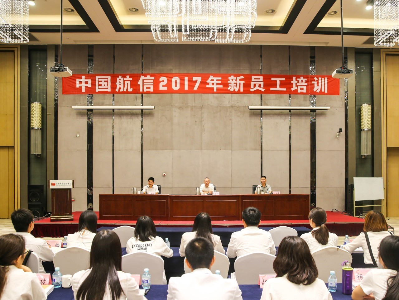 王中王一平肖，聚焦人物魅力与影响力探讨，王中王一平肖，人物魅力与影响力的深度探讨