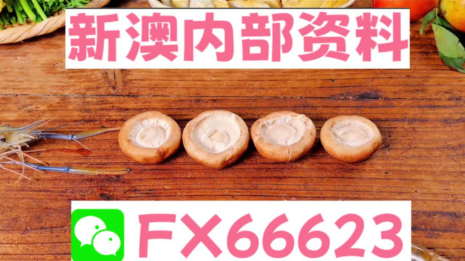 新澳全年免费资料大全——探索与学习资源的宝库，新澳全年免费资料大全，探索与学习资源的终极宝库