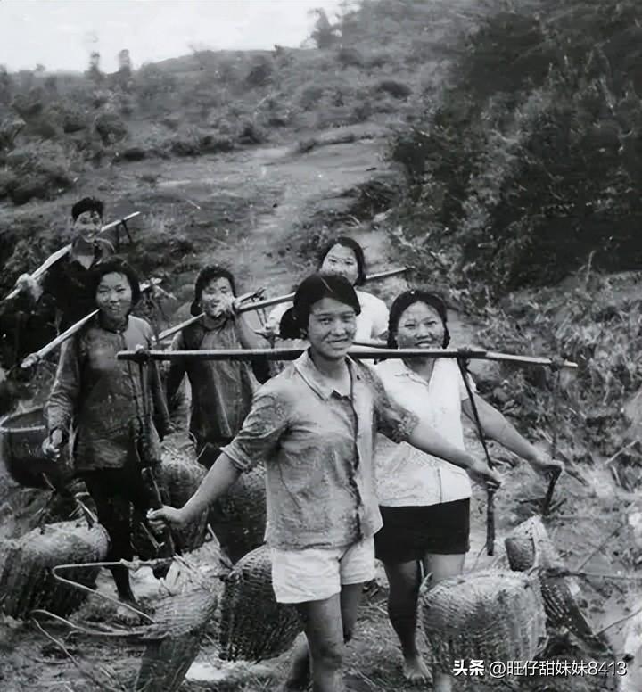 49图库第303期