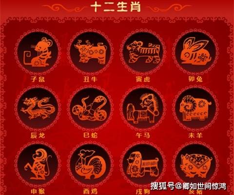 一码须向一字开，探寻正确生肖的奥秘，探寻生肖奥秘，一码指引一字开