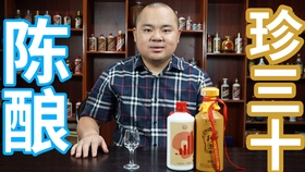揭秘2469一肖主博王中王，背后的秘密与策略，揭秘生肖博王背后的秘密与策略，揭秘2469一肖主博王中王传奇之路
