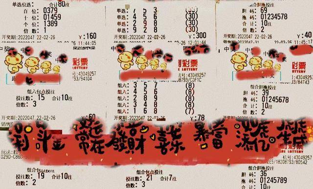 王中王047期指一生肖，深度解析与SEO优化策略，王中王047期生肖深度解析与SEO优化策略全攻略