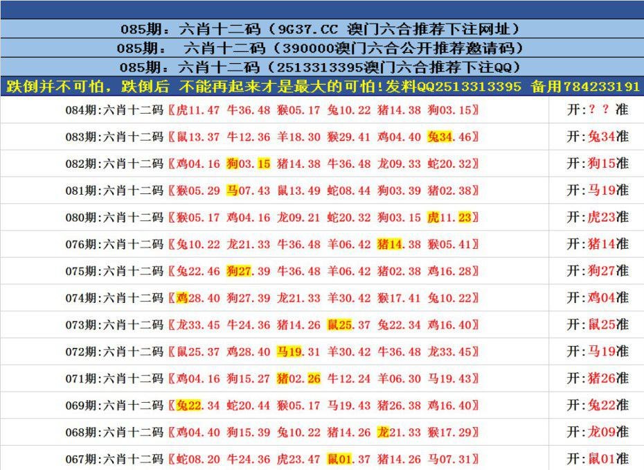 澳门正版资料免费更新，探索澳门正版的世界，澳门正版资料免费更新，探索正版世界的奥秘