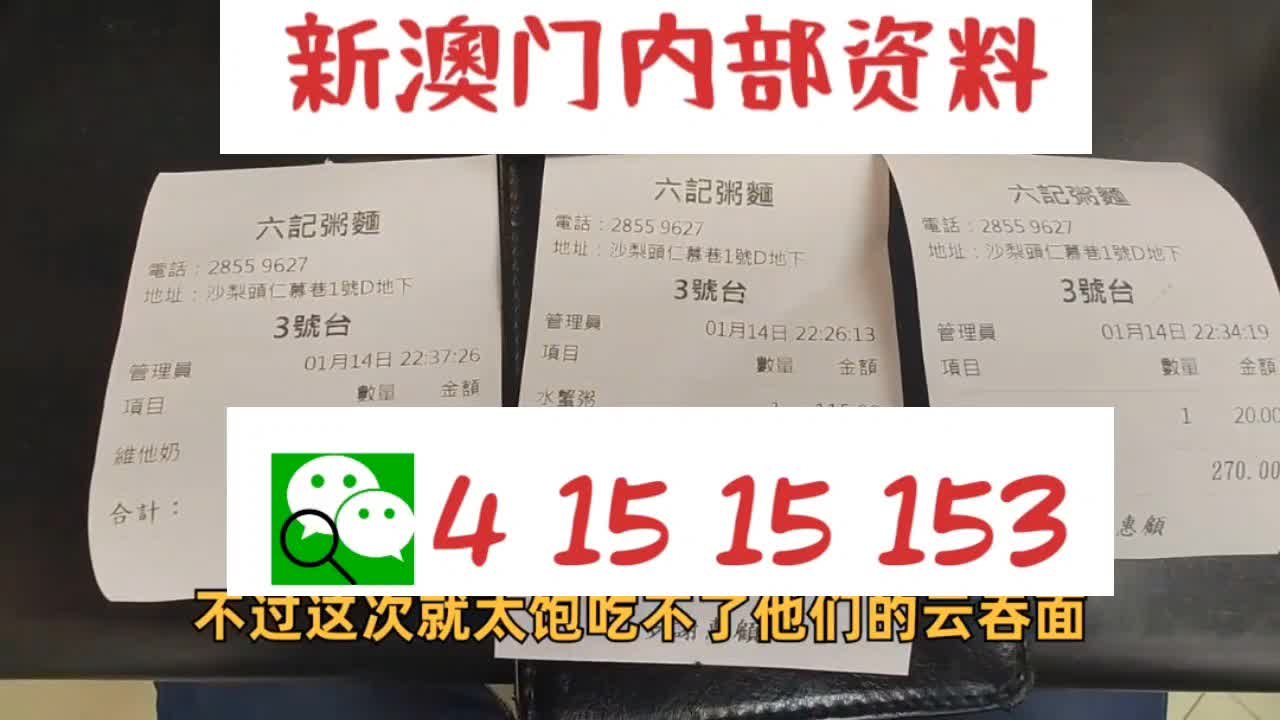 新澳2025正版资料大全——全面解析与深度探索，新澳2025正版资料大全，全面解析与深度探索指南