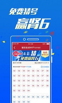 白小姐六肖选一有王中王，揭秘背后的秘密与策略，揭秘白小姐六肖选一背后的秘密策略与王中王之选