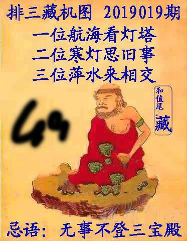 王中王019期指一生肖，深度解析与SEO优化策略，王中王019期生肖深度解析及SEO优化策略全攻略