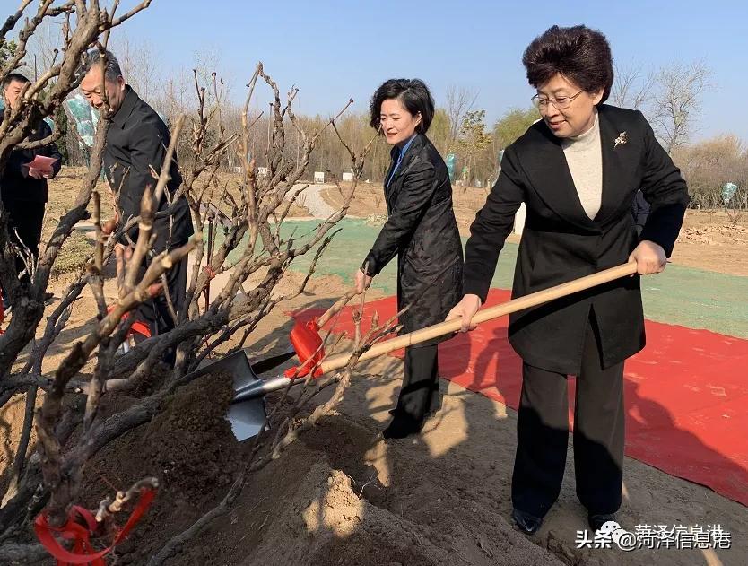 揭秘129期王中王报一肖的神秘面纱，揭秘王中王报一肖的神秘面纱，揭秘真相与内幕解析