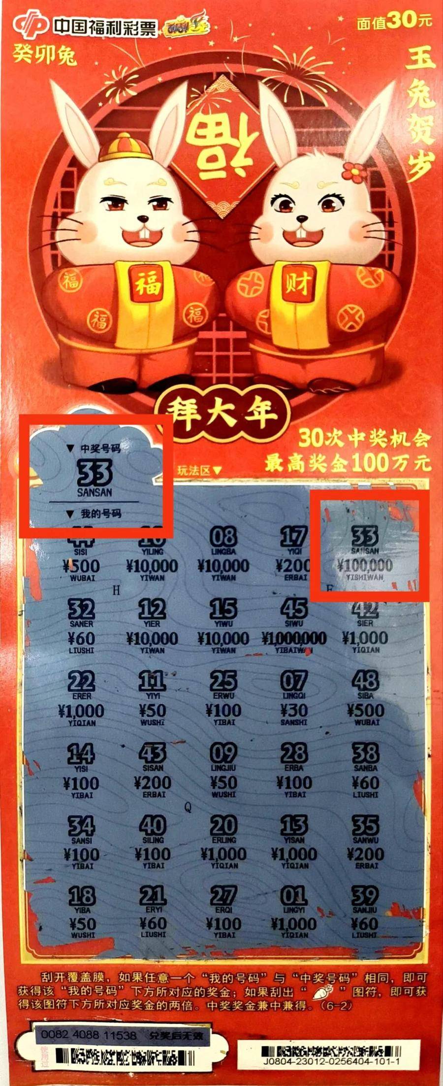 一肖中特兔费公开资料王中王——揭秘彩票背后的秘密，揭秘彩票背后的秘密，一肖中特兔费公开资料王中王