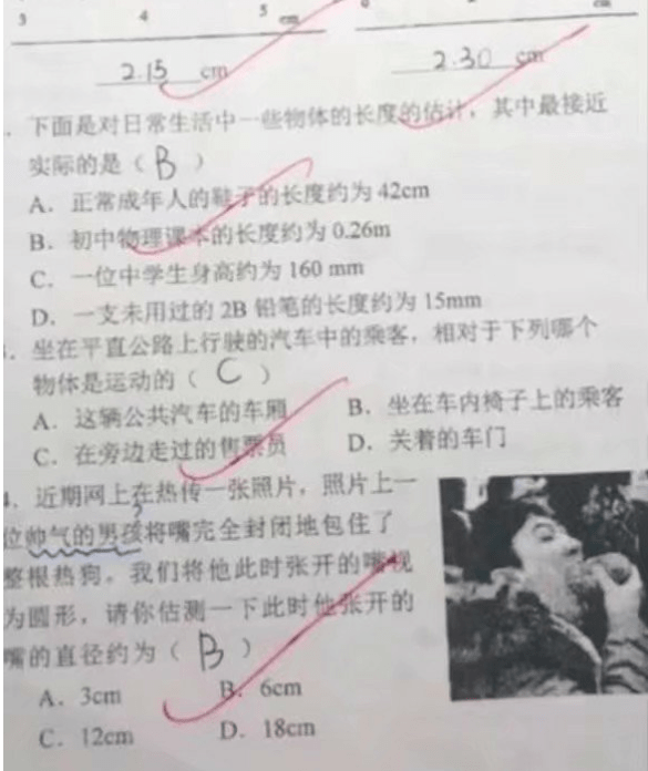 一肖中的几率，揭秘彩票背后的秘密与策略，揭秘彩票背后的秘密与策略，一肖中奖几率解析