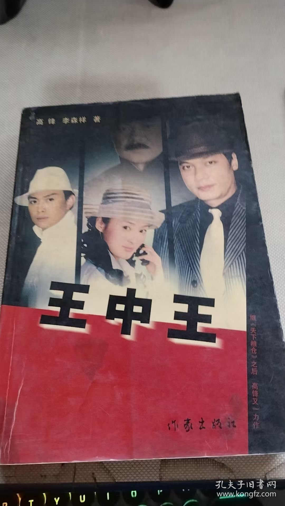 王中王资料一肖中烧天，深度解析与探索，王中王资料一肖中烧天，深度剖析与探索揭秘