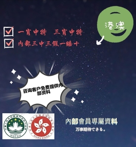 王中王一肖一特一中香港，探索关键词背后的故事，香港关键词背后的故事探索，王中王一肖一特一中