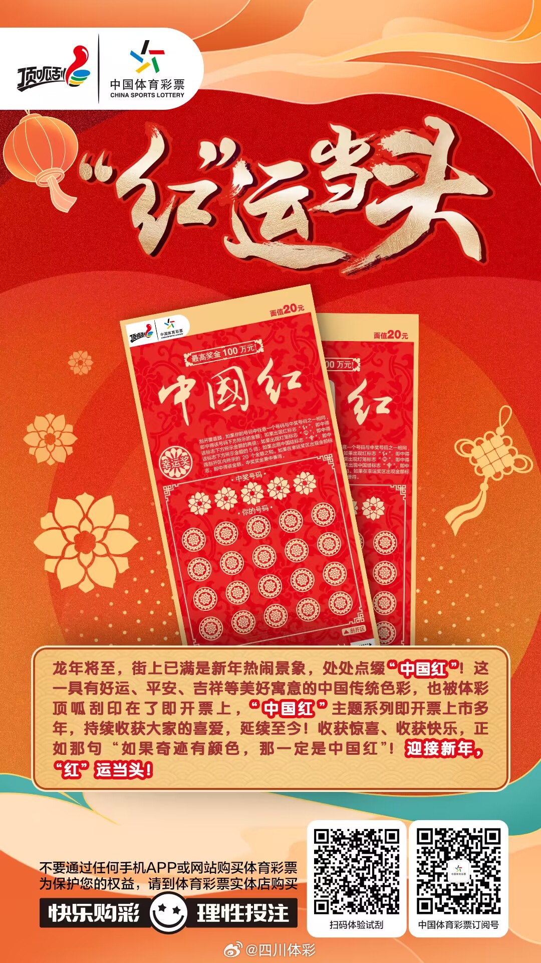 背后的秘密深度解析