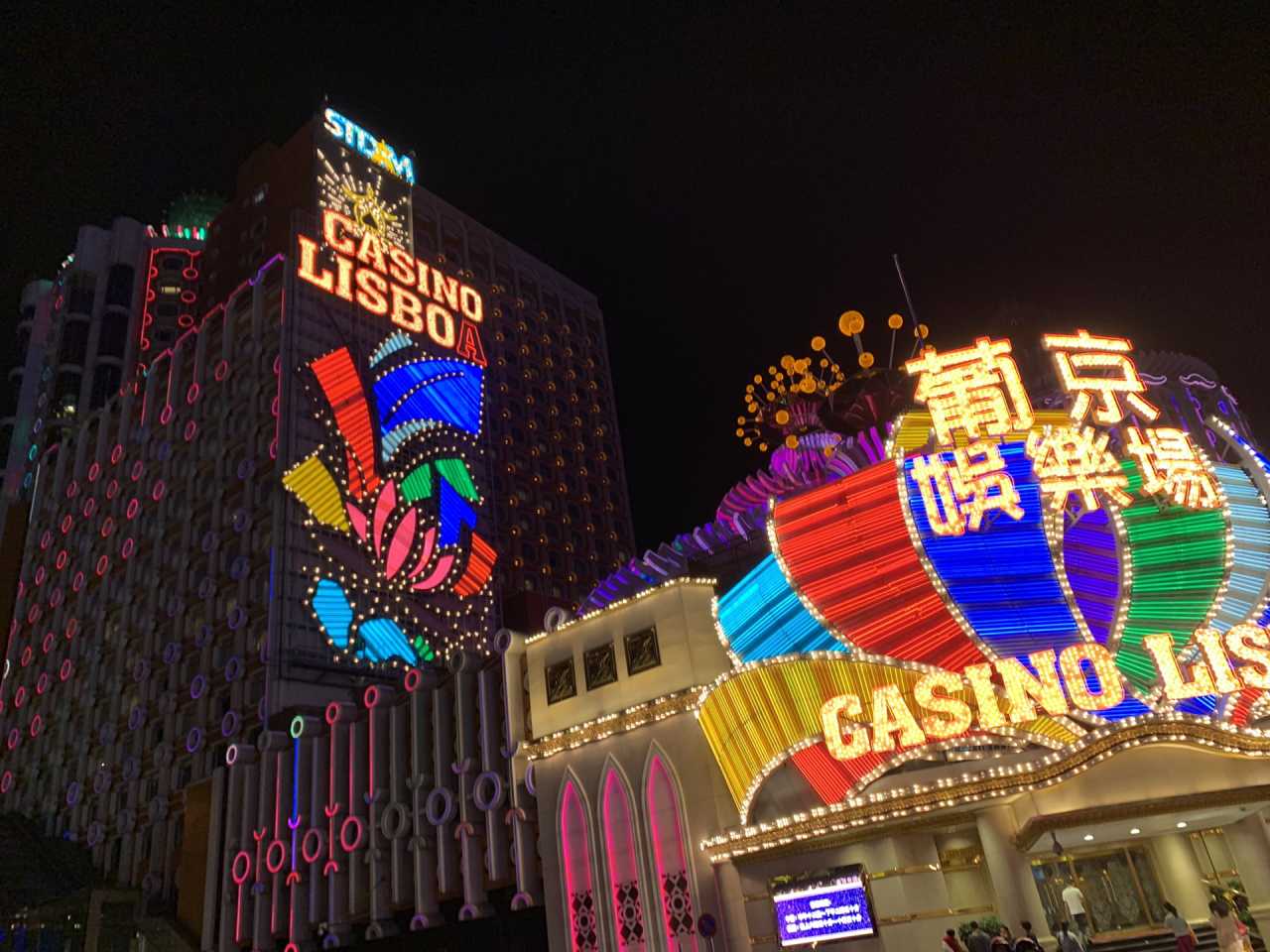 葡京王中王与一肖中特，探索背后的神秘与魅力，葡京王中王与一肖中特，揭秘背后的神秘魅力
