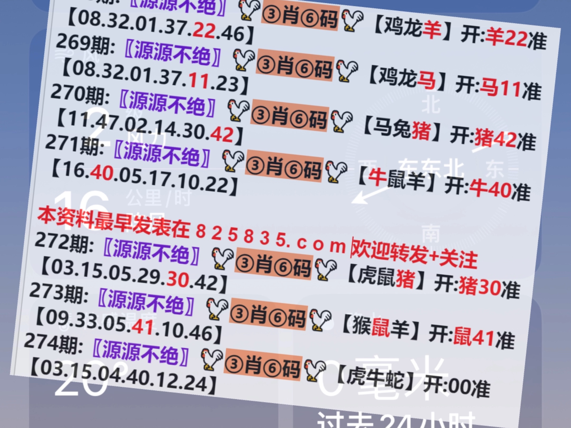 澳门一肖一码开奖结果深度解析，澳门一肖一码开奖结果解析报告