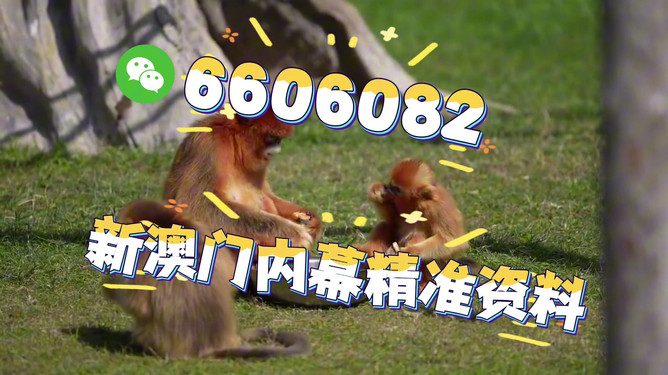 澳门今晚必开一肖一特，揭秘生肖彩票的魅力与策略，澳门生肖彩票揭秘，必开一肖一特的魅力与策略探讨
