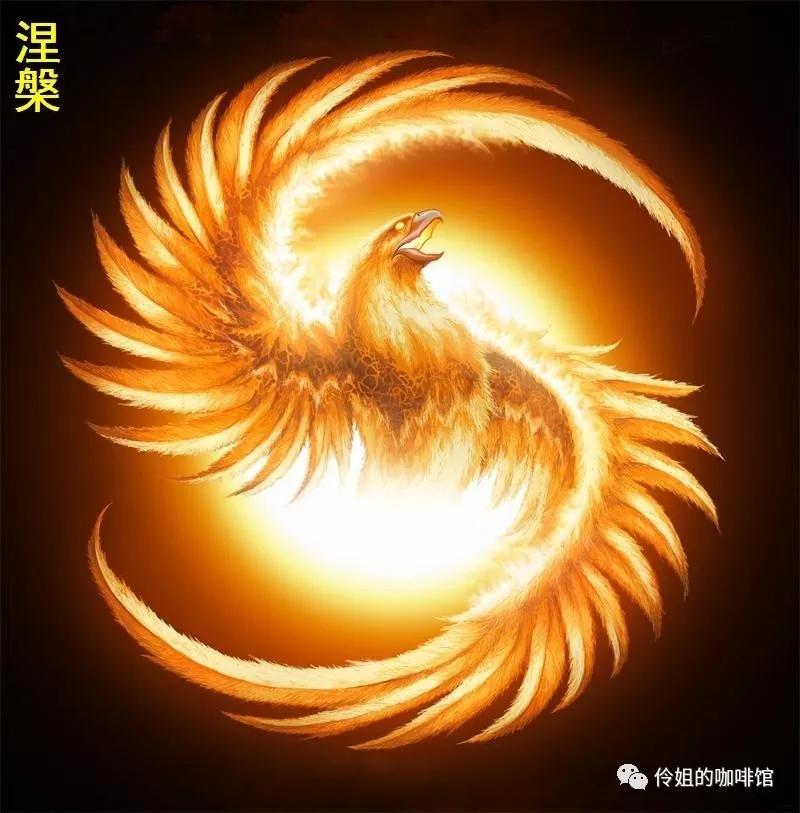 王中王精准一肖中凤凰，揭秘预测奥秘与技巧，揭秘王中王精准预测一肖中凤凰的奥秘与技巧