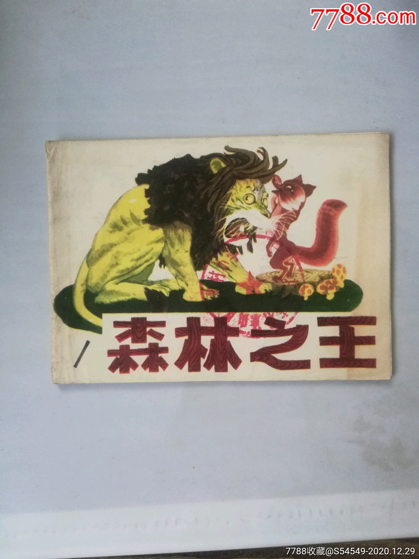 森林王中王打一肖，揭秘背后的神秘故事与生肖文化，揭秘森林王中王背后的神秘故事与生肖文化，森林之王与生肖传奇