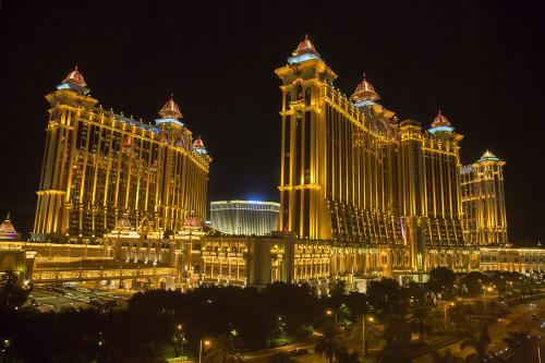 澳门必开一肖金牛，深度解析与预测，澳门金牛生肖深度解析与预测，揭秘必开一肖金牛的秘密