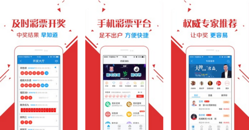 王中王一肖玄机资料大全，深度解析与SEO优化文章，王中王一肖玄机资料大全，深度解析与SEO优化指南
