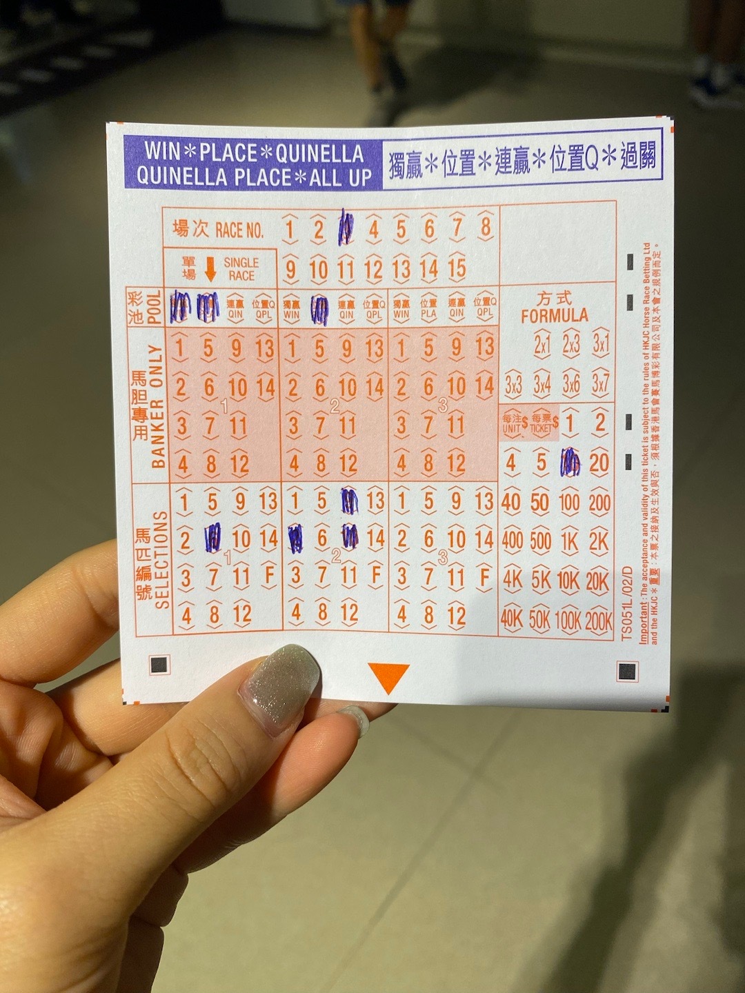 王中王赛马会平特一肖的独特魅力与精彩瞬间解析，王中王赛马会平特一肖魅力与精彩瞬间详解
