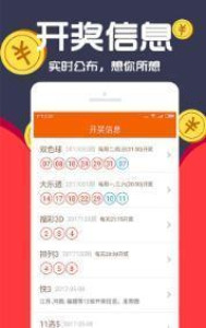 王中王一肖两码中网，探索与解析，王中王一肖两码中网，深度探索与解析