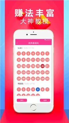 王中王精选六肖中特一，揭秘精准预测的秘密，揭秘王中王精选六肖精准预测秘诀
