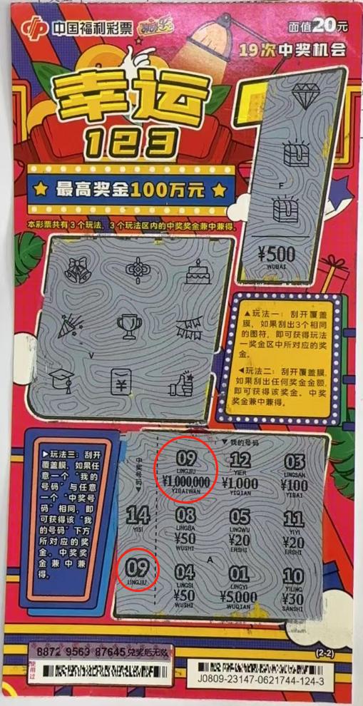一肖中特抓彩涂王中王，揭秘彩票背后的秘密策略，揭秘彩票背后的秘密策略，一肖中特抓彩涂王中王解析
