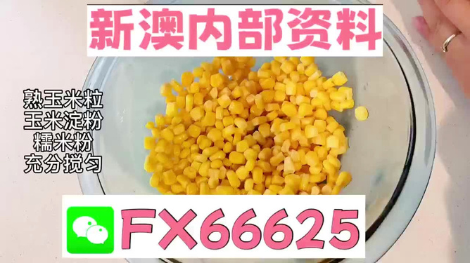 新澳一码一肖资料大全