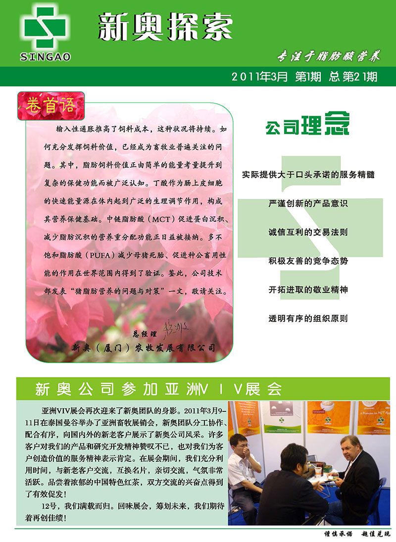 2025新澳正版资料精准解析与预测，2025新澳正版资料精准解析与趋势预测