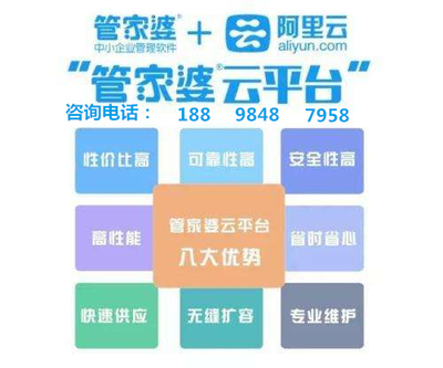 管家婆精准秘籍